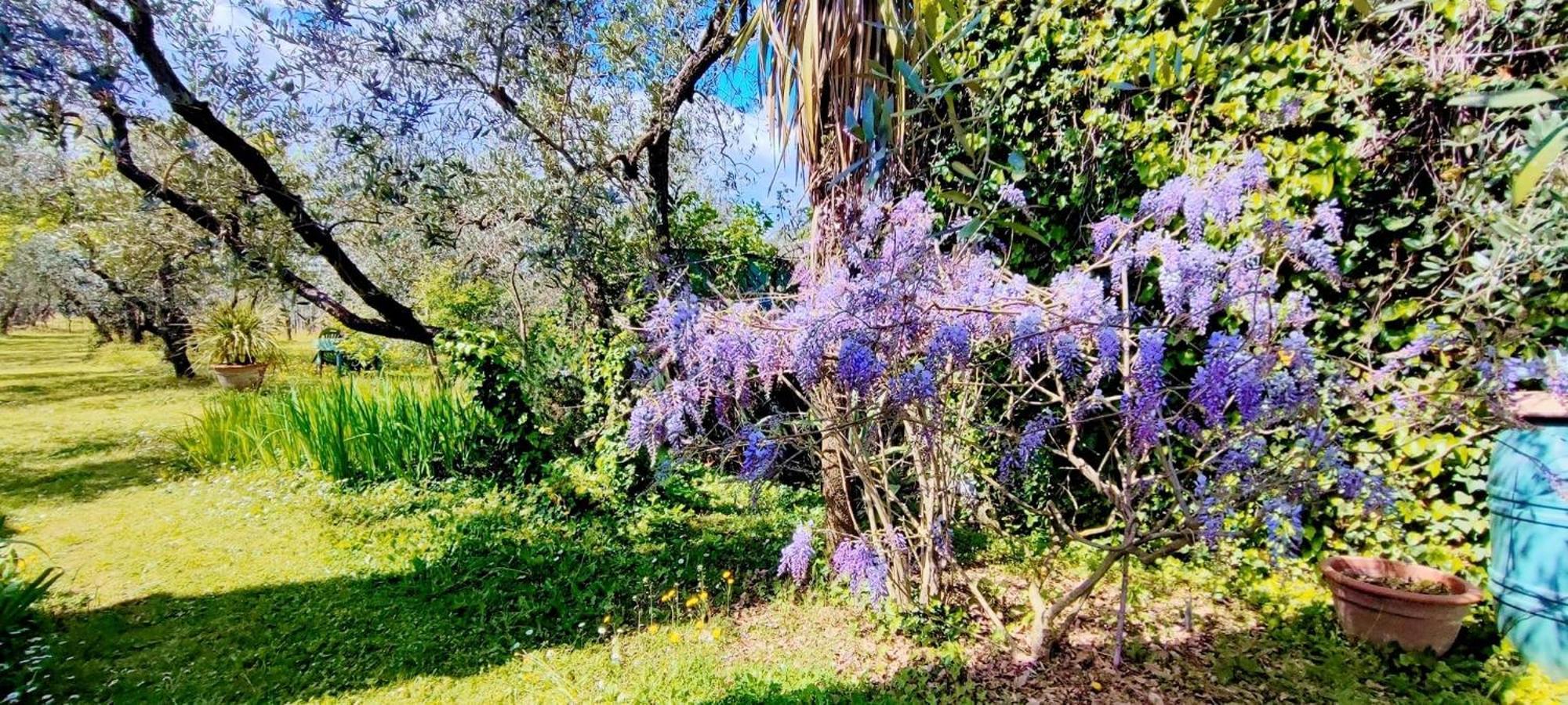 La Casa Dei Nonni Villa Larciano Екстериор снимка
