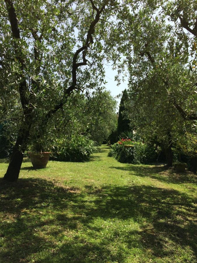 La Casa Dei Nonni Villa Larciano Екстериор снимка